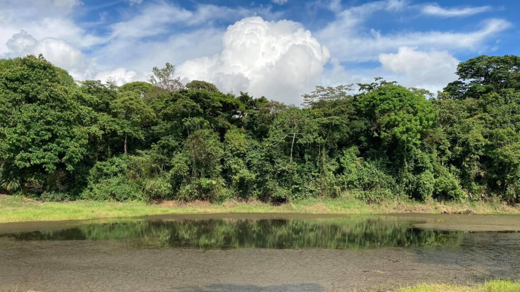 La importancia de los corredores biológicos