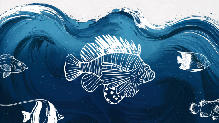 Día Mundial de los Océanos 2024: despertar nuevas profundidades