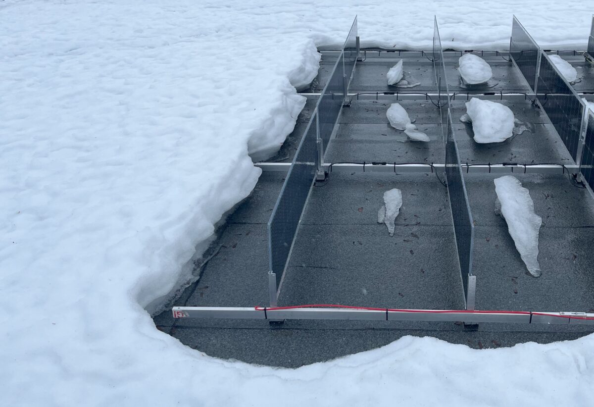 La Revolución Solar de Noruega: Cuando la Nieve se    Convierte en Energía