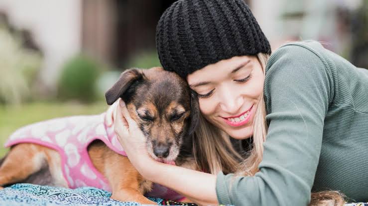 Cómo el estado de ánimo de los dueños cambia la forma en que los perros aprenden y obedecen